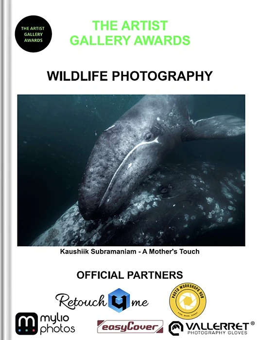 The Artist Gallery Awards 2026 — Cover