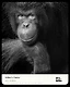 Global Lens Awards Feature