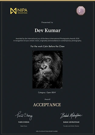 Calm Before the Chew — Open B&W official acceptance certificate