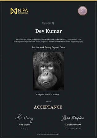 Beauty Beyond Color — Nature / Wildlife official acceptance certificate