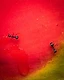 Against a vivid crimson backdrop, two tiny ants appear to trace separate paths across a living canvas