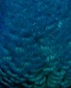Scalloped rows of peacock plumage filling the frame, electric blue barbules catching a soft iridescent sheen.