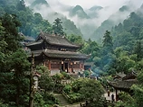 Zhineng Qigong Level 1: Teacher's Certification Training