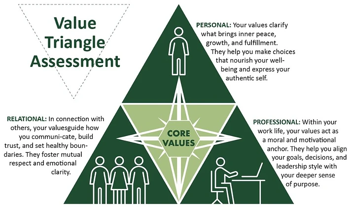 The MOSO Value Triangle Assessment diagram