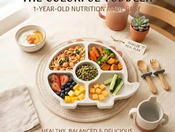 1 Year Old Meal Plan eBook