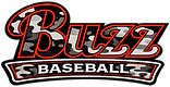 Buzz Baseball logo