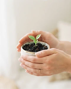 In-Home Care Companion Visit
