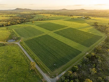 Pasture Treatment Mapping