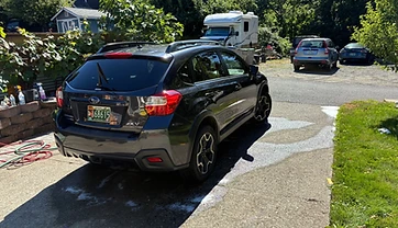 Exterior Wash & Decontamination