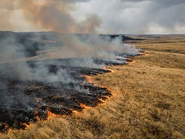 Aerial view of an active grassland wildfire with flames and smoke across dry grass