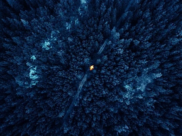 Thermal infrared scan of a forest showing the heat signature of a lost person