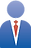 Professional Services