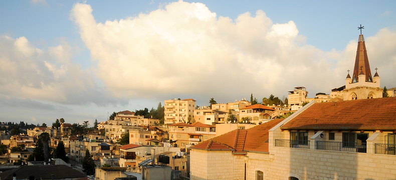 The Galilee Olive Trail
