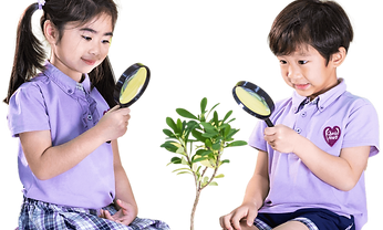 Environmental Literacy