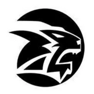 Morumbi Challenge logo