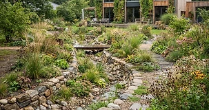 Schwammgarten mit Regenwasser-Retention und Stauden