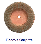 Escova Carpete