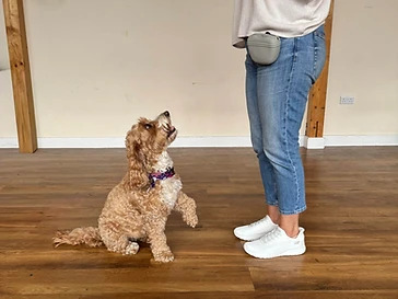 Trick Class