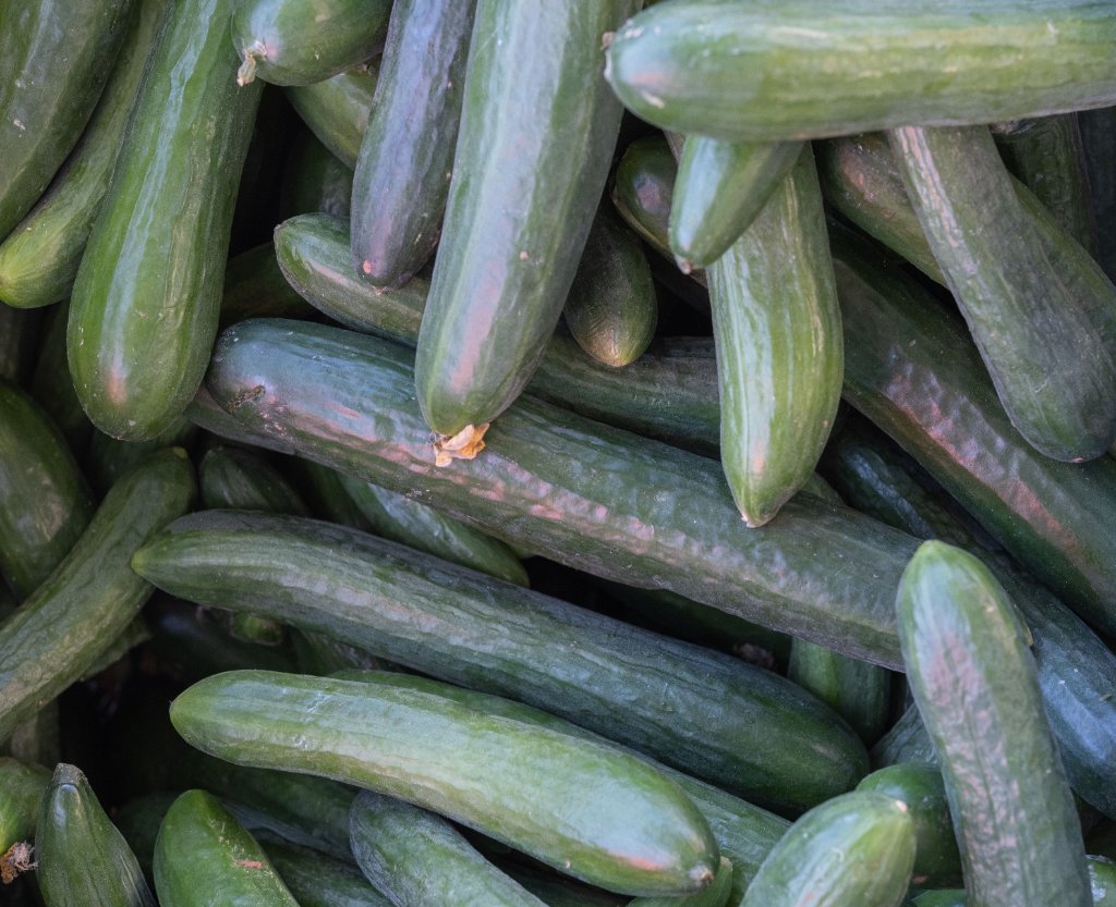 English Long Cucumbers