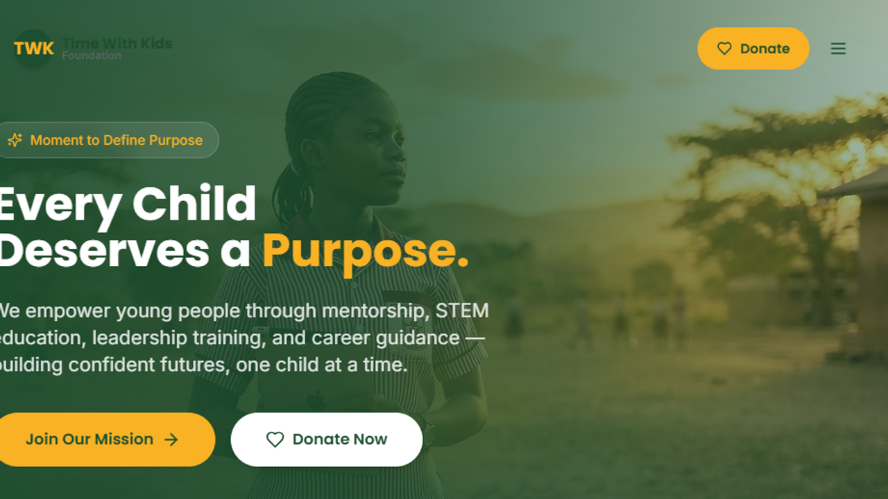 NON PROFIT  template preview