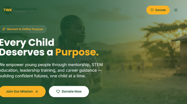 NON PROFIT  template preview