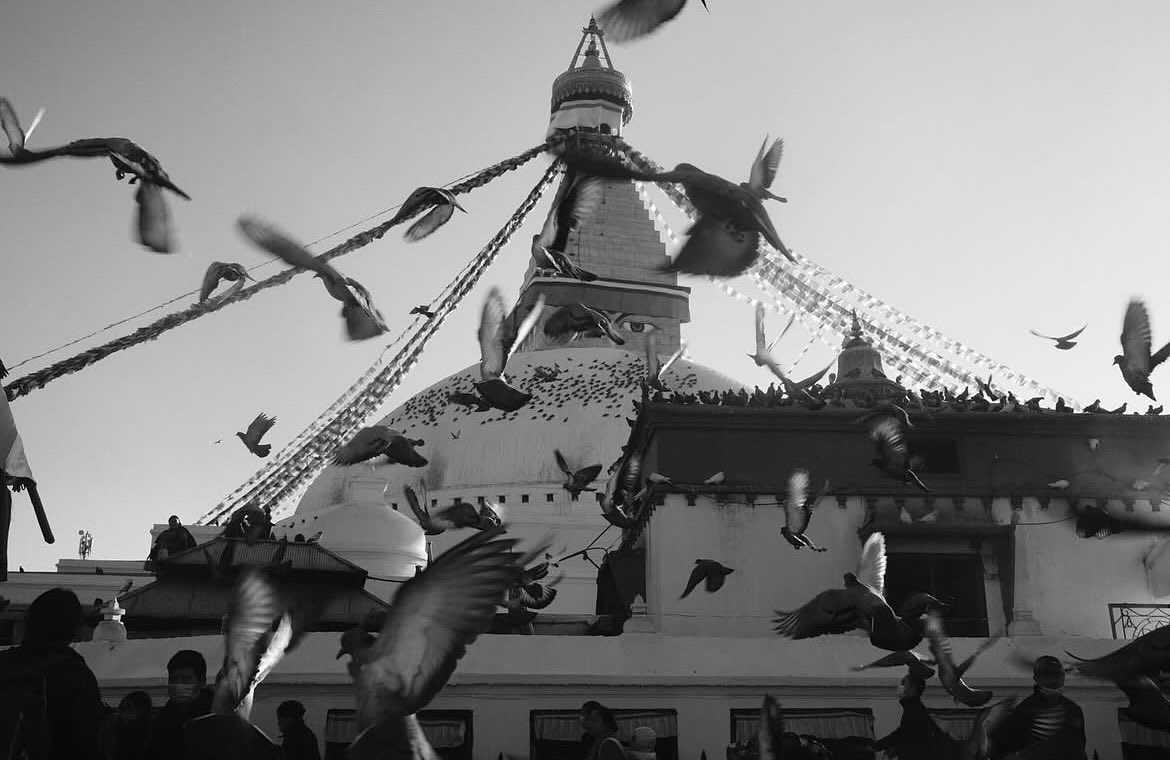 Wings Over Boudha