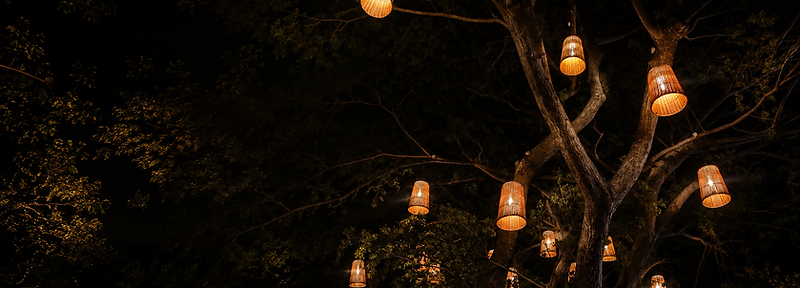 Lantern-lit tree glowing over a garden at night