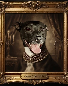 Piper