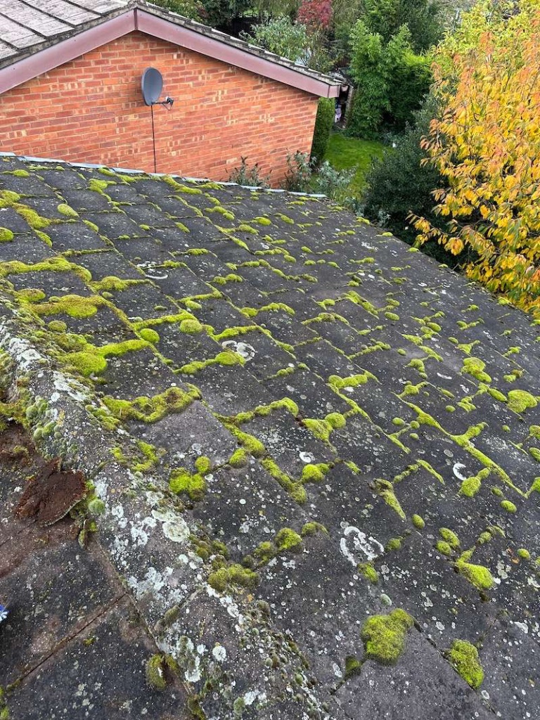 7 Warning Signs Your Roof Needs Replacing
