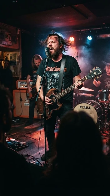 Illustration fidèle de Concert — Skraeckoedlan
