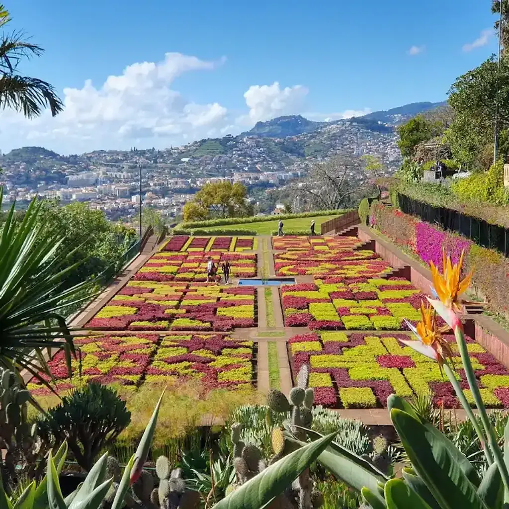 Madeira Botanical Garden with geometric planting beds and a view over Funchal