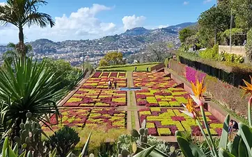 Madeira Botanical Garden with geometric planting beds and a view over Funchal