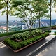 Green Terrace