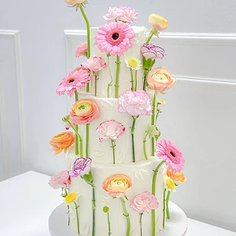 Eat Cake