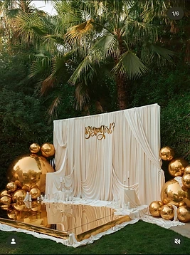 Elite Party Events — work