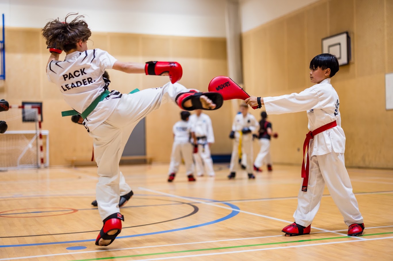 Kids martial arts training