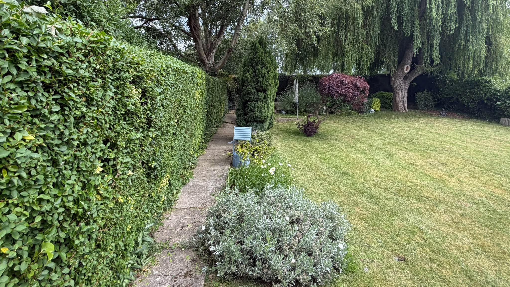 A maintained garden in South Dublin with a stone path, manicured hedge and lawn