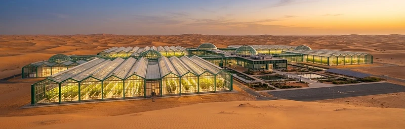 High-tech greenhouse complex at golden hour