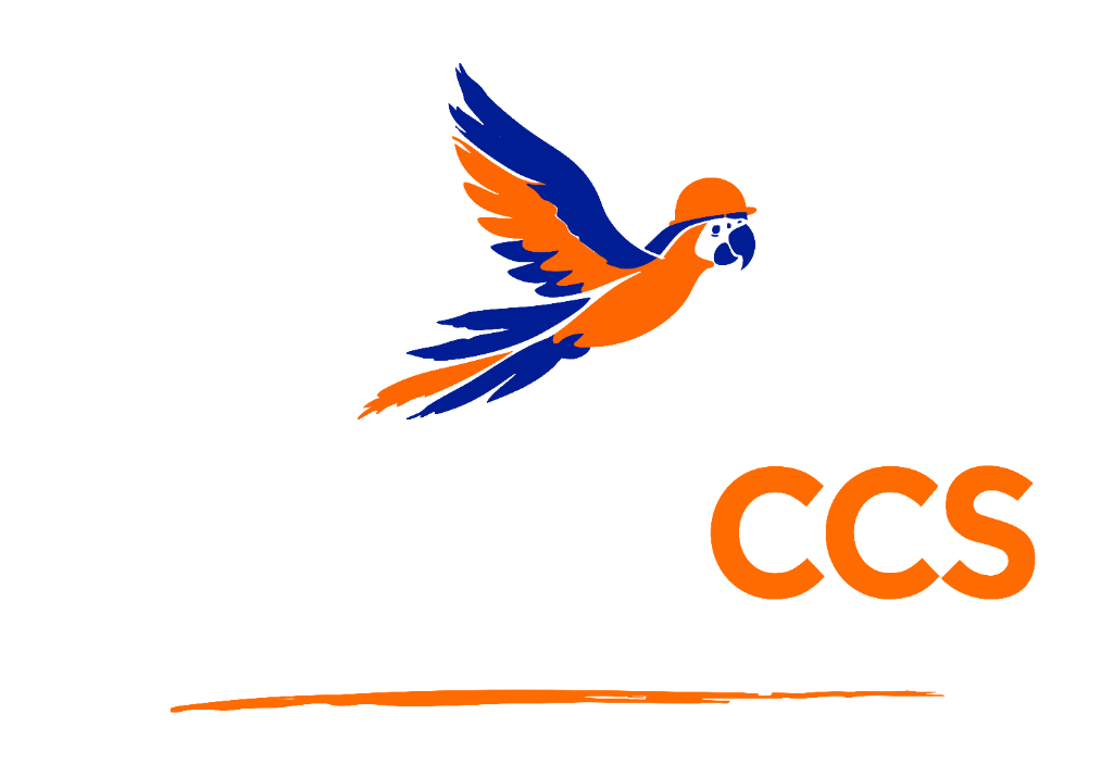 RenovaCCS - Lo arreglamos volando