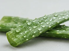 Aloe Barbadensis Leaf Extract
