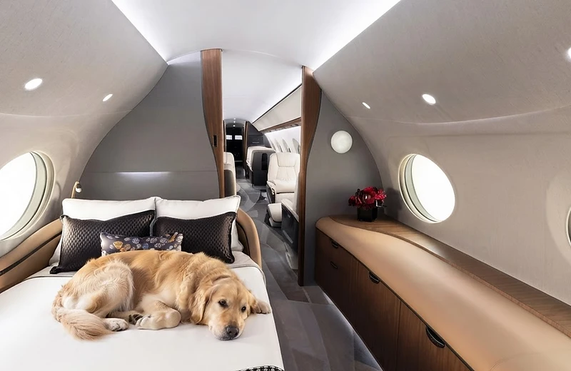 A French bulldog asleep on a blanket inside a private jet cabin at cruise