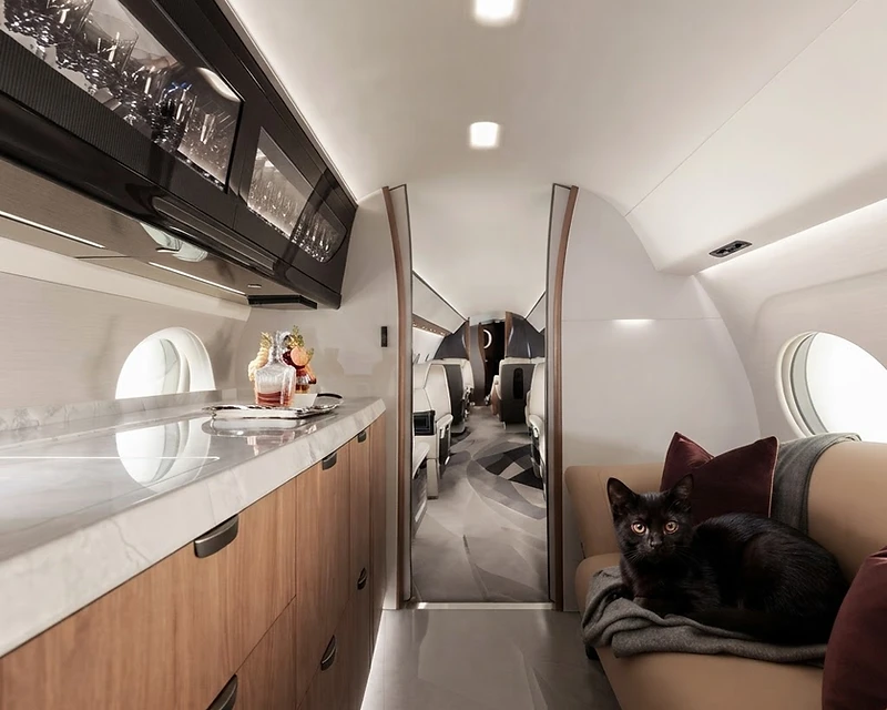 A black cat resting on the cabin seat of a private jet, galley beyond