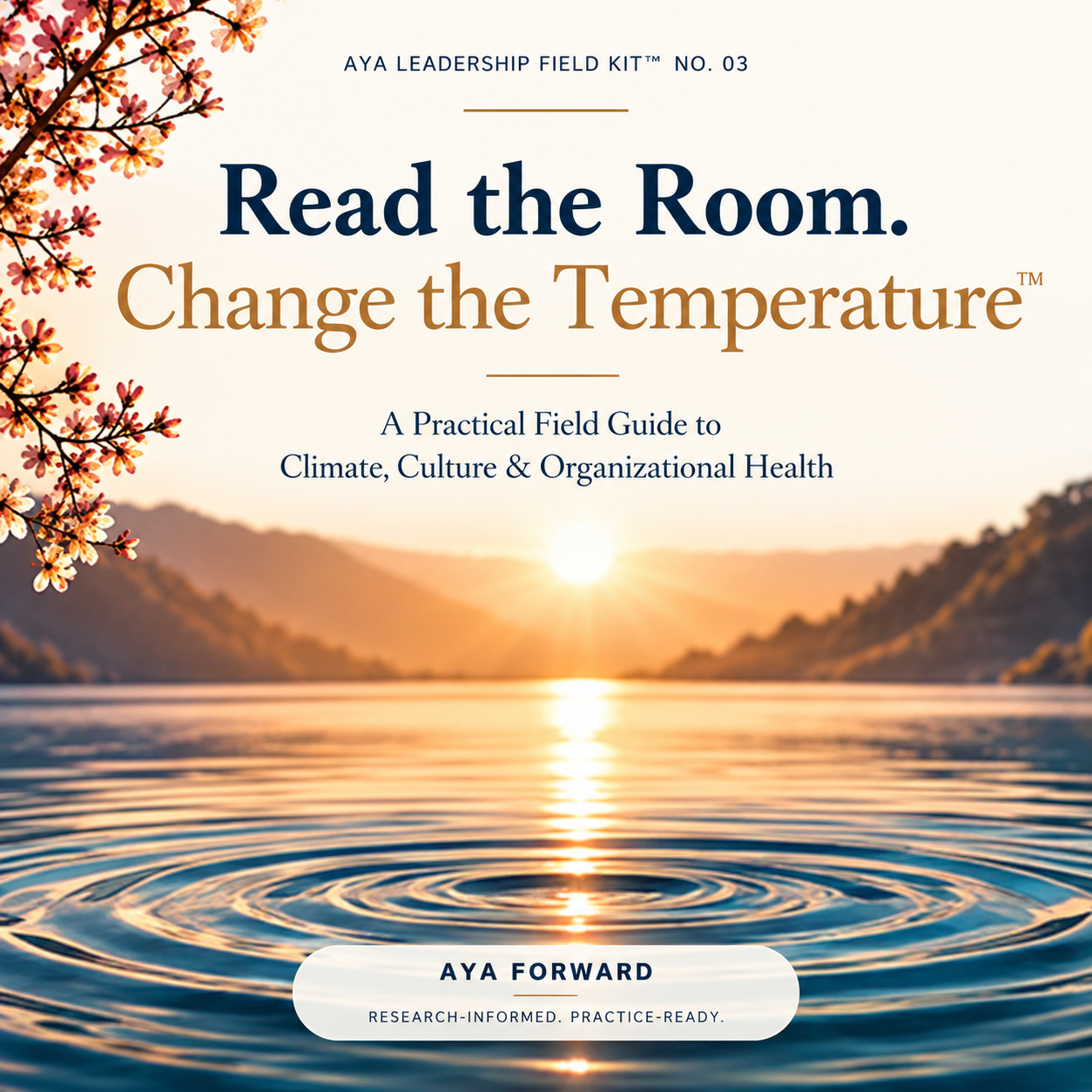 Read the Room. Change the Temperature field kit thumbnail artwork