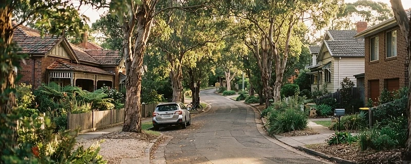 A leafy Australian suburban street in golden afternoon light