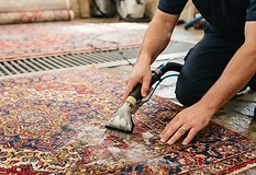 Rug Cleaning