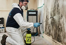 Mould Treatment