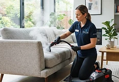 Upholstery Cleaning