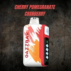 GAZZ BAR ICE GOD Cherry Pomegranate Cranberry