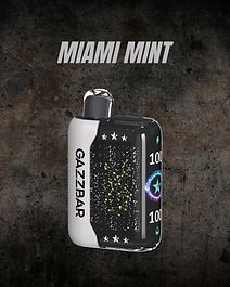 GAZZ BAR MIAMI MINT