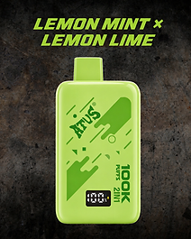 ATUS 100K 2IN1 Lemon Mint x Lemon Lime
